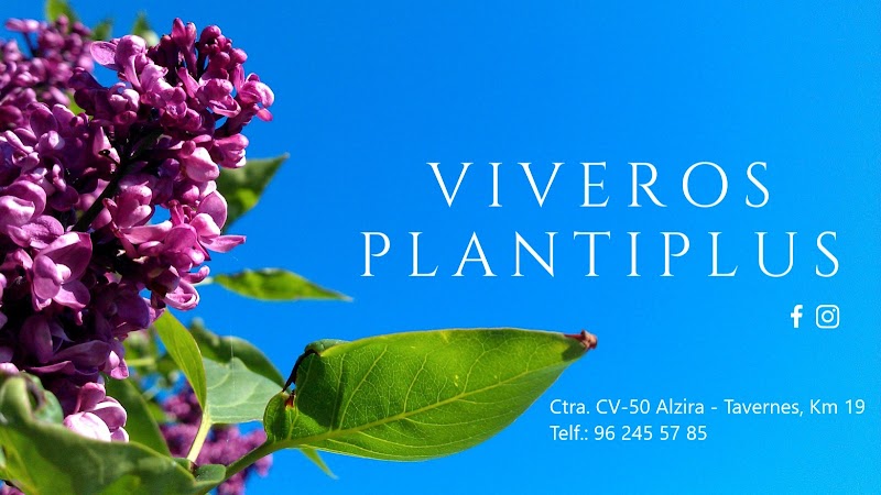 Imagen de Viveros Plantiplus