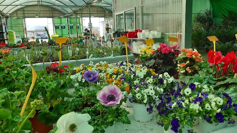 Imagen de Viveros Plantiplus