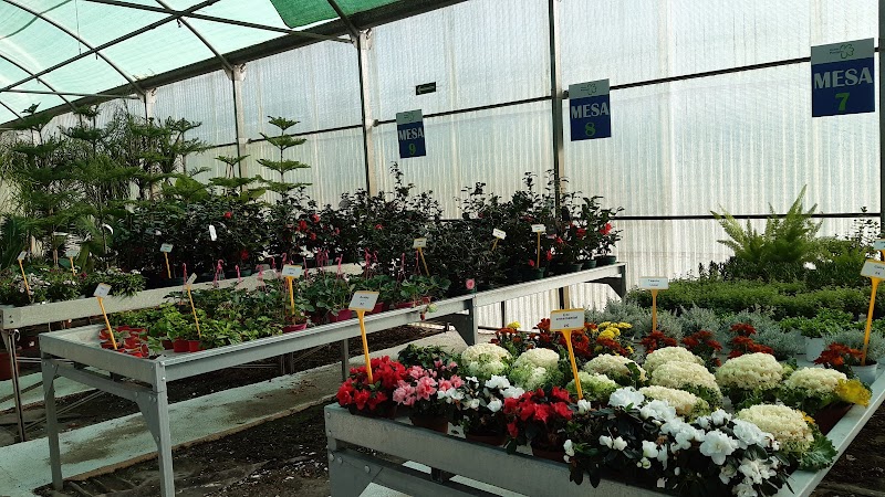 Imagen de Viveros Plantiplus