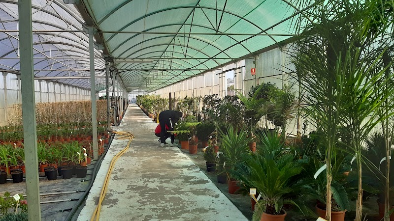 Imagen de Viveros Plantiplus