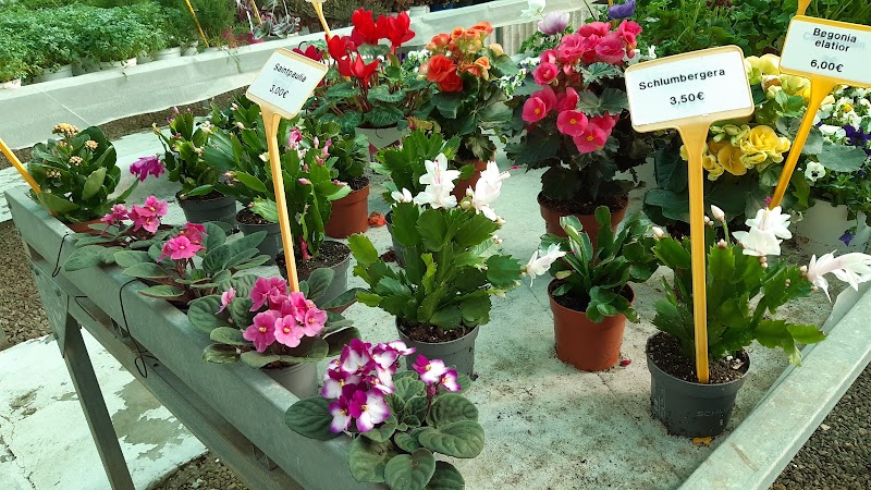 Imagen de Viveros Plantiplus