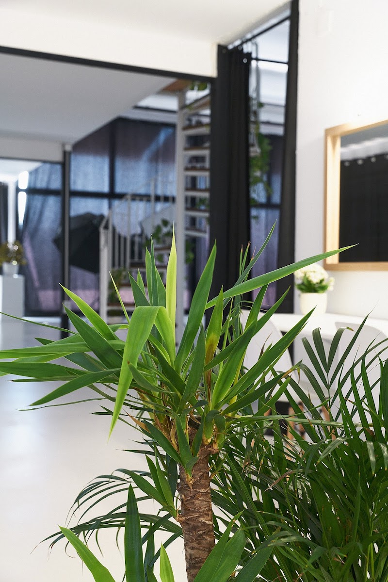 Imagen de Light & Shoot Studios