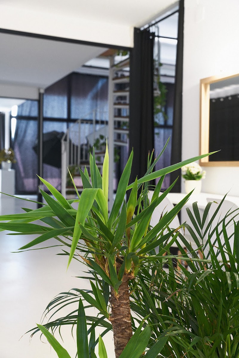 Imagen de Light & Shoot Studios