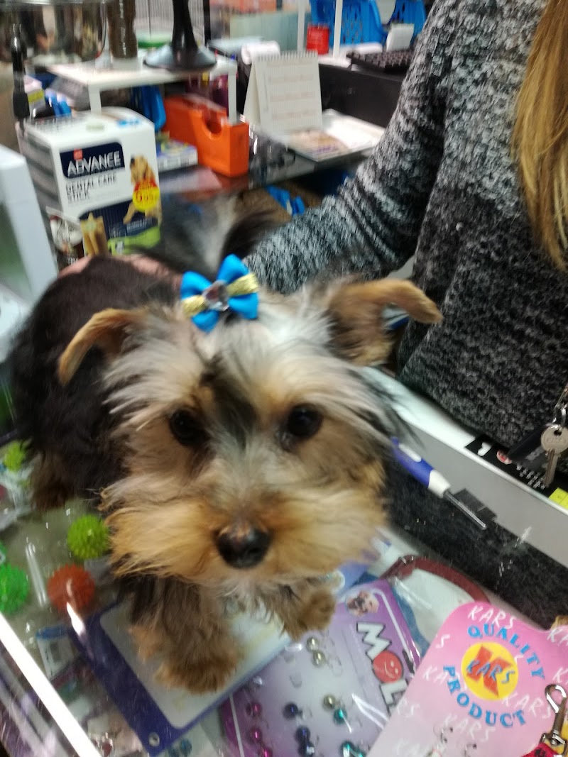 Imagen de Don Perico