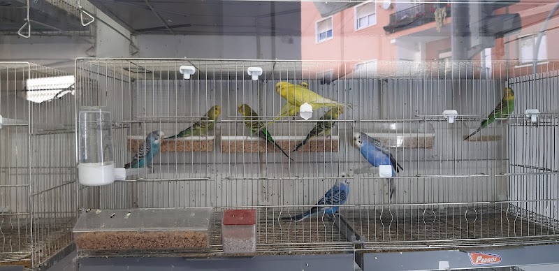 Imagen de Don Perico