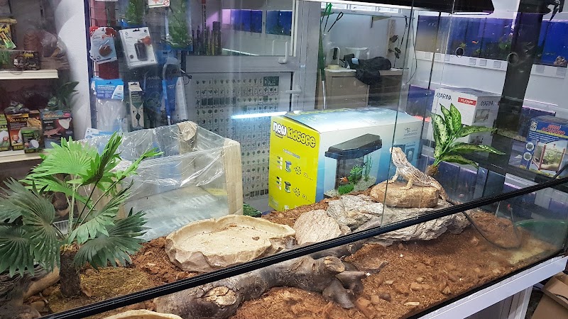 Imagen de Don Perico