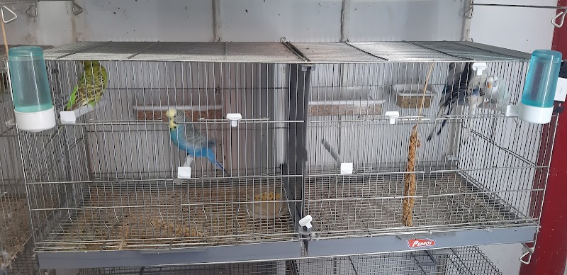 Imagen de Don Perico