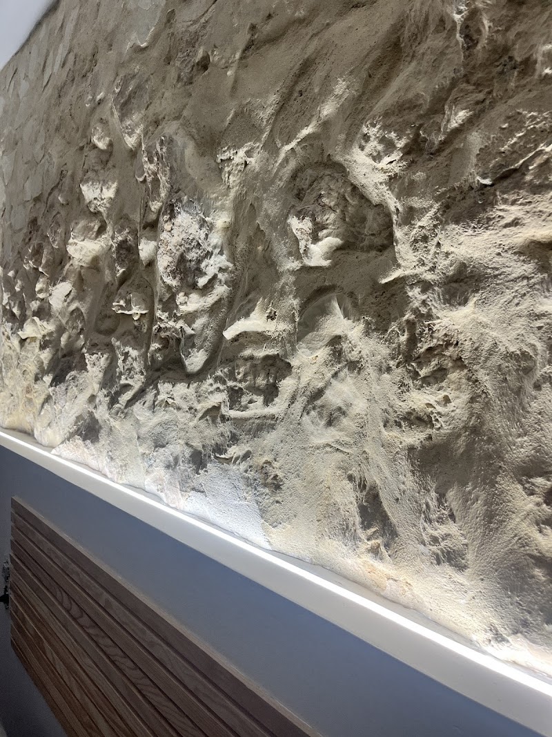 Imagen de Hotel Boutique – Estancia Dos Olivos