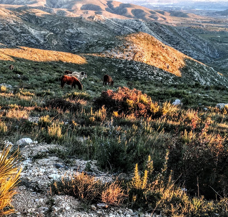 Imagen representativa de la localización