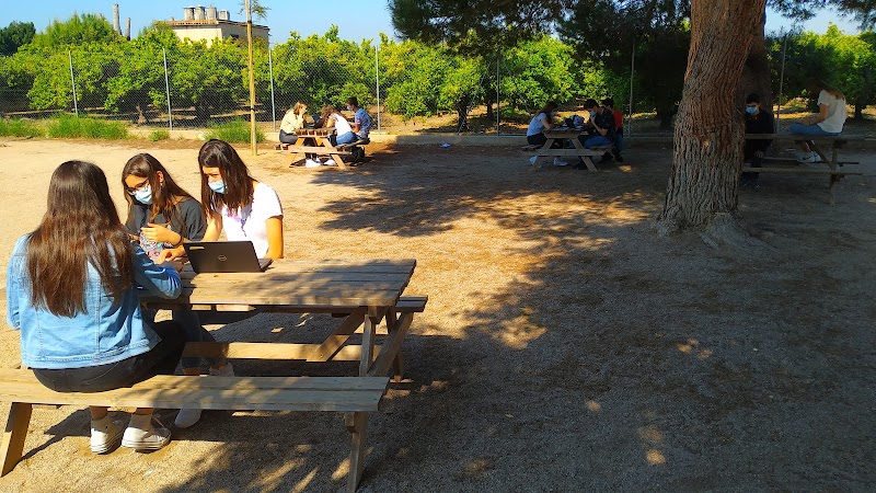 Imagen de Maristas Algemesí