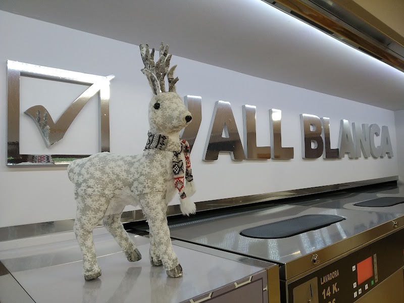 Imagen de Lavanderia Econet Vall Blanca