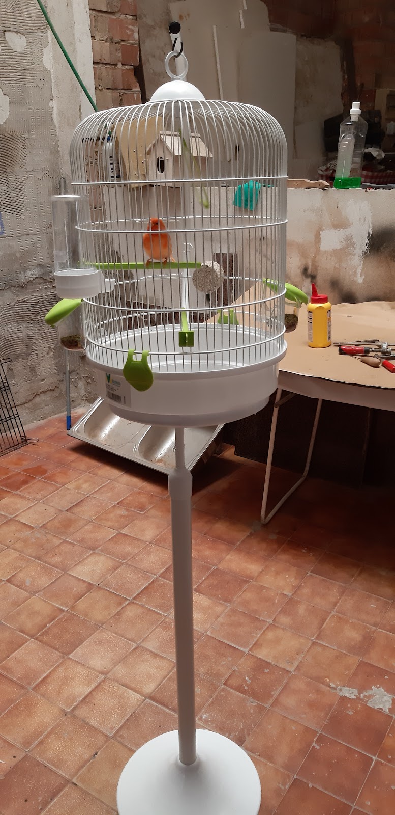 Imagen de Interzoo Alzira ð¶ð±ð­ Peluquería Canina | Productos para Mascotas | Comprar Pienso para Perros y Gatos