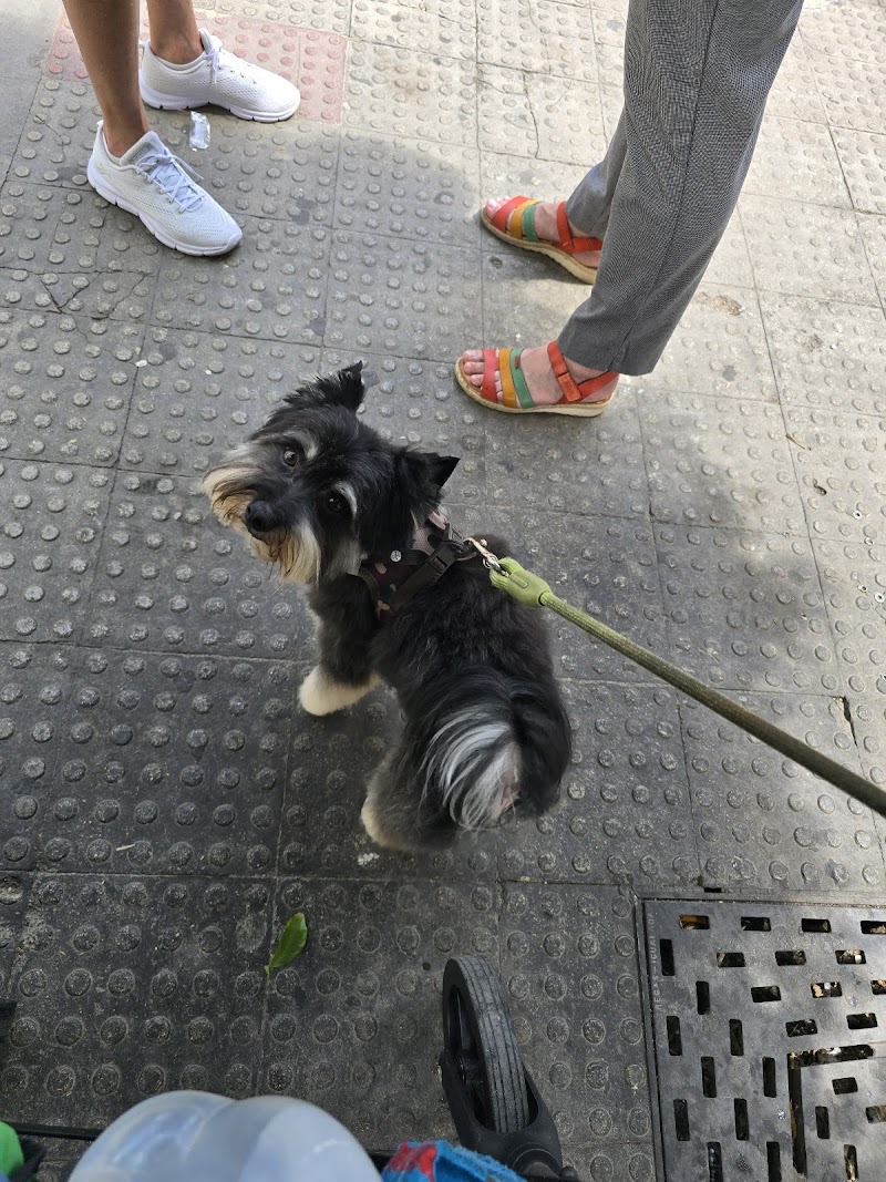 Imagen de Interzoo Alzira ð¶ð±ð­ Peluquería Canina | Productos para Mascotas | Comprar Pienso para Perros y Gatos