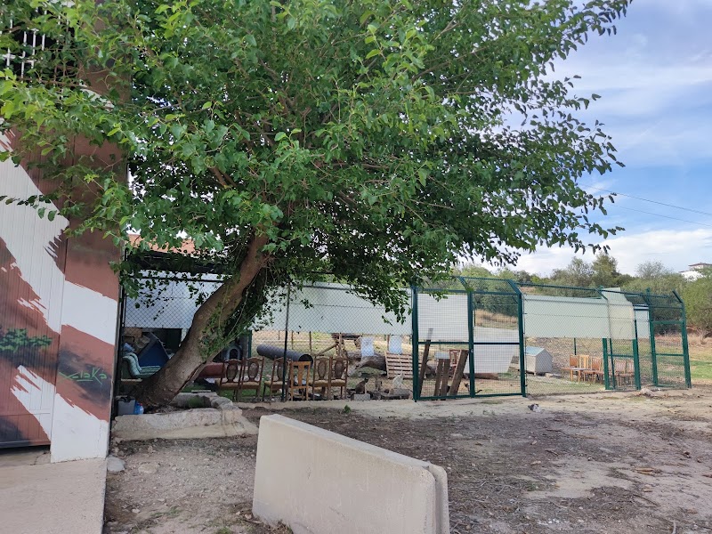 Imagen de negocio en Adopción en L'alcúdia de Crespíns