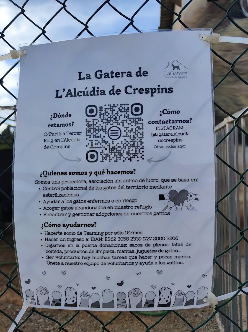 Imagen de negocio en Adopción en L'alcúdia de Crespíns