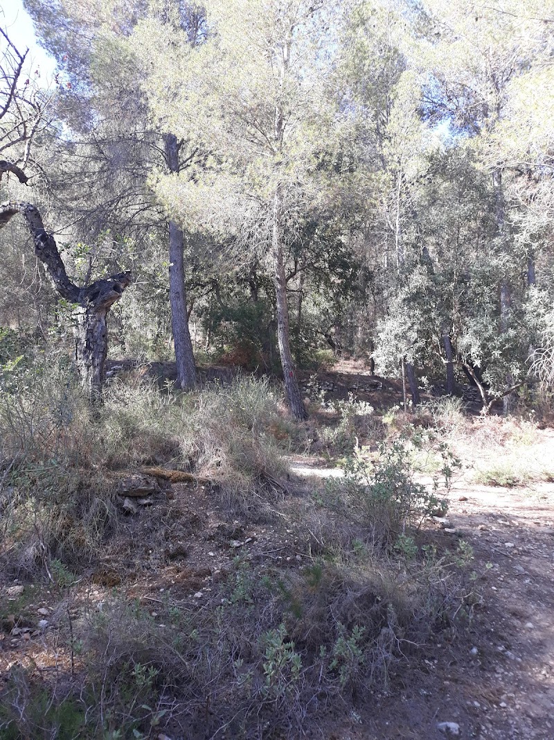 Imagen de Hogar de Ancianos Corona de la Estrela