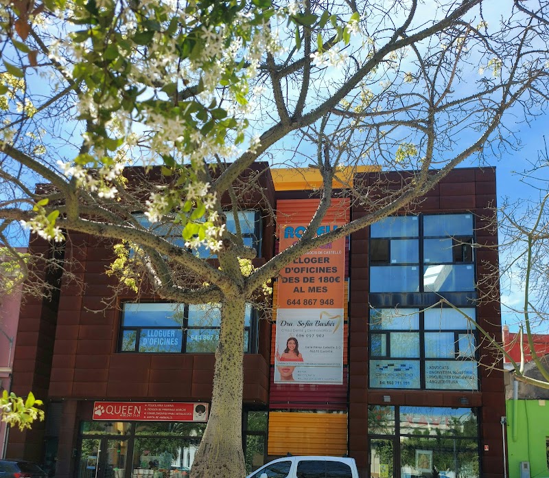 Imagen de negocio en Clínica dental en Castelló
