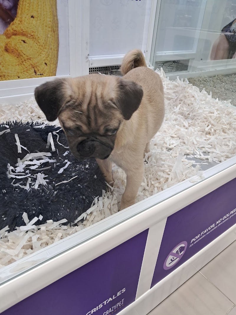 Imagen de Crazypet Mascotas