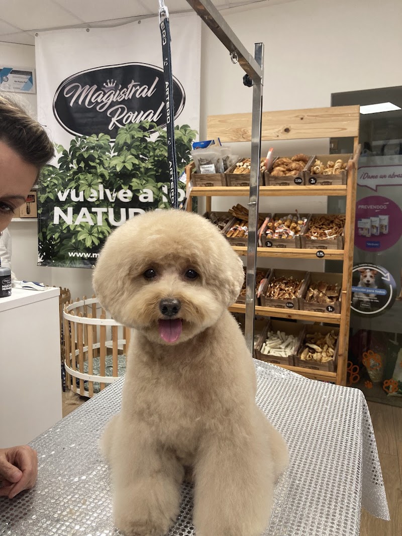 Imagen de Divinos Peludos