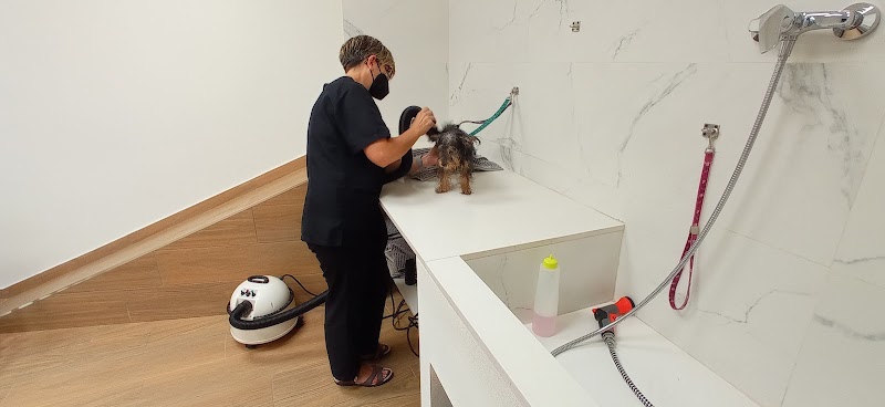 Imagen de Divinos Peludos