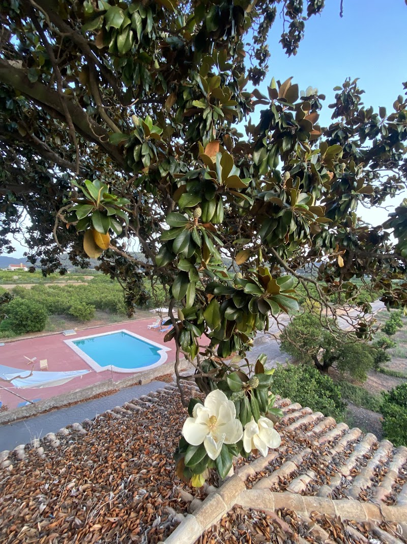 Imagen de Casa Magnolia Alquería