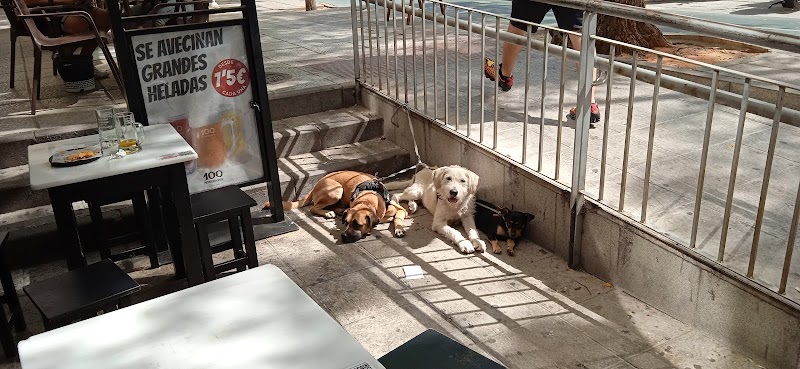 Imagen de Centro Canino Sport-dog