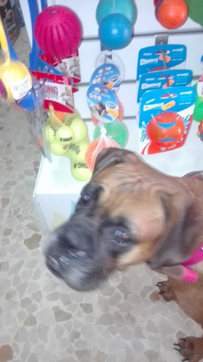 Imagen de Mi King Pet Shop