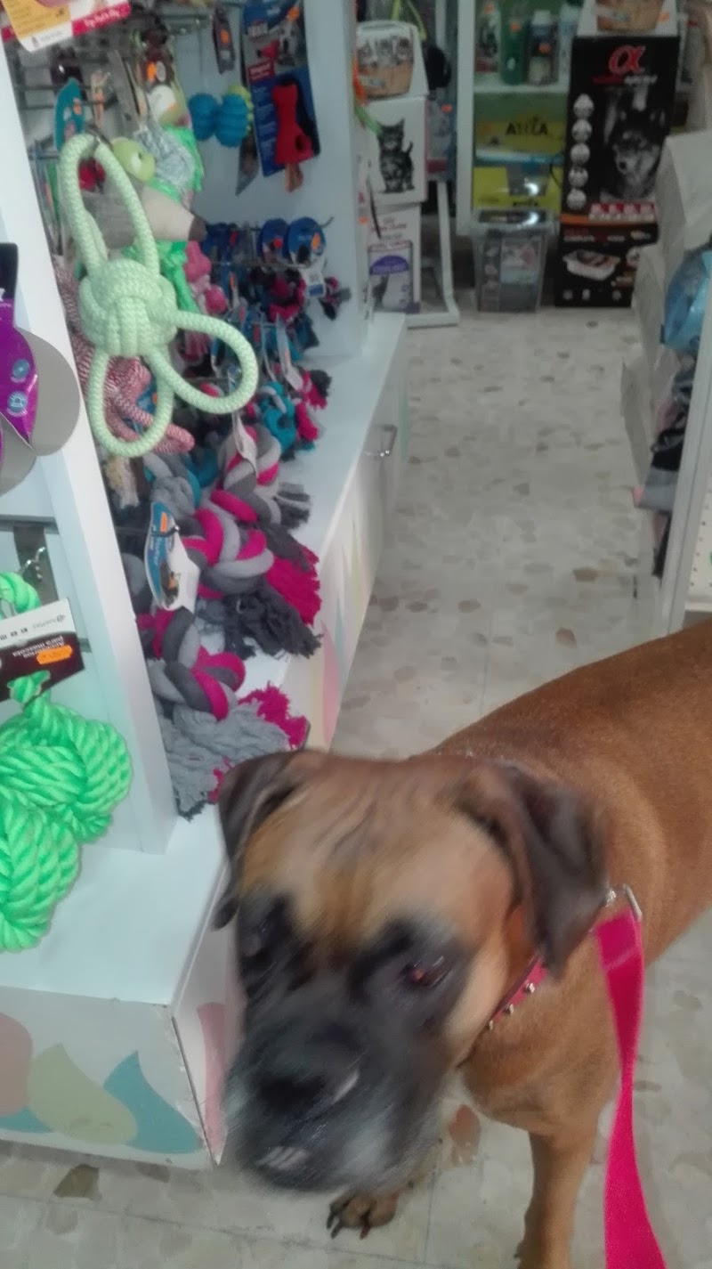 Imagen de Mi King Pet Shop