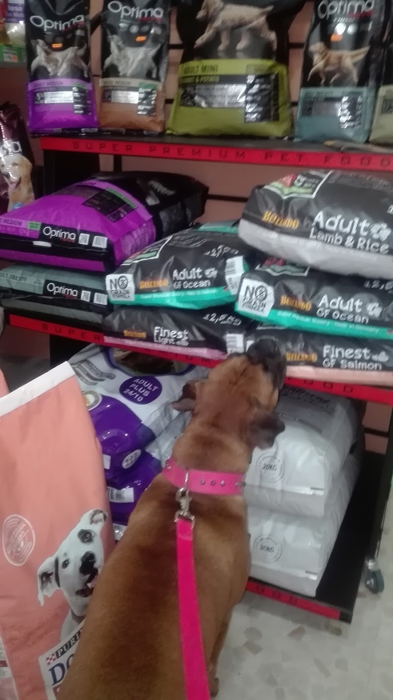 Imagen de Mi King Pet Shop