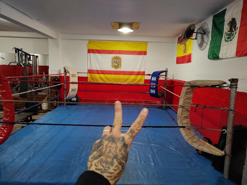 Imagen de negocio en Boxeo y kickboxing en Provincia de Sevilla