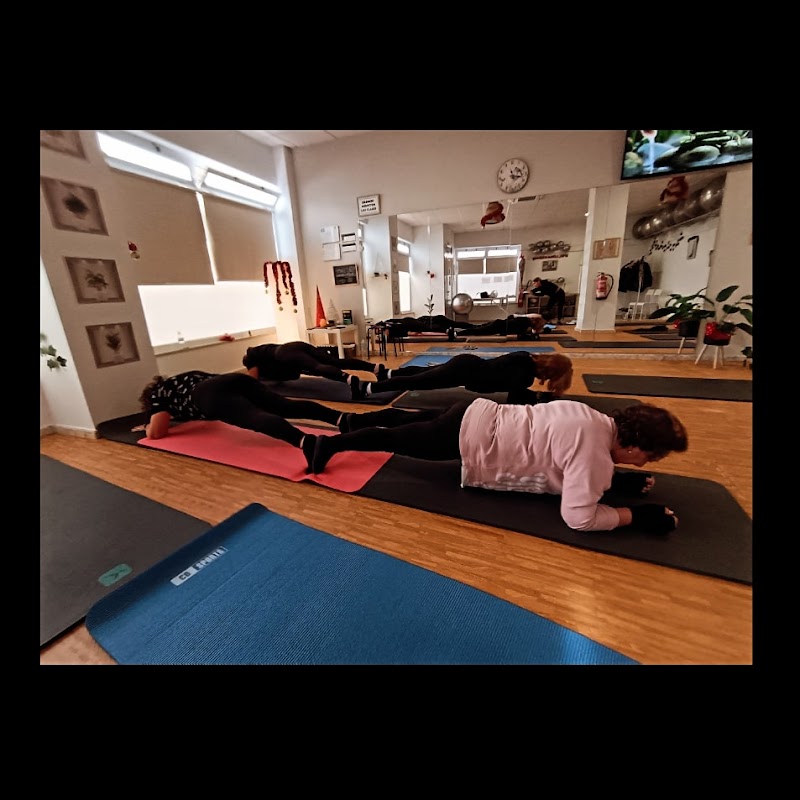 Imagen de Pilates Lsg
