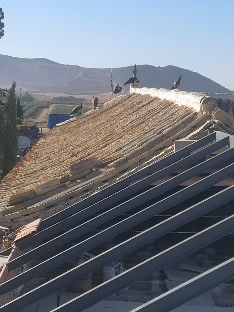 Imagen de negocio en Servicios de cerrajería en Morón de la Frontera