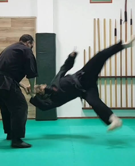 Imagen de Bujinkan Moron