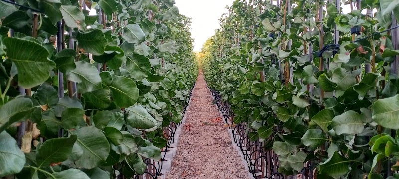 Imagen de negocio en Jardinería y exterior en Urbanización Santa Elo