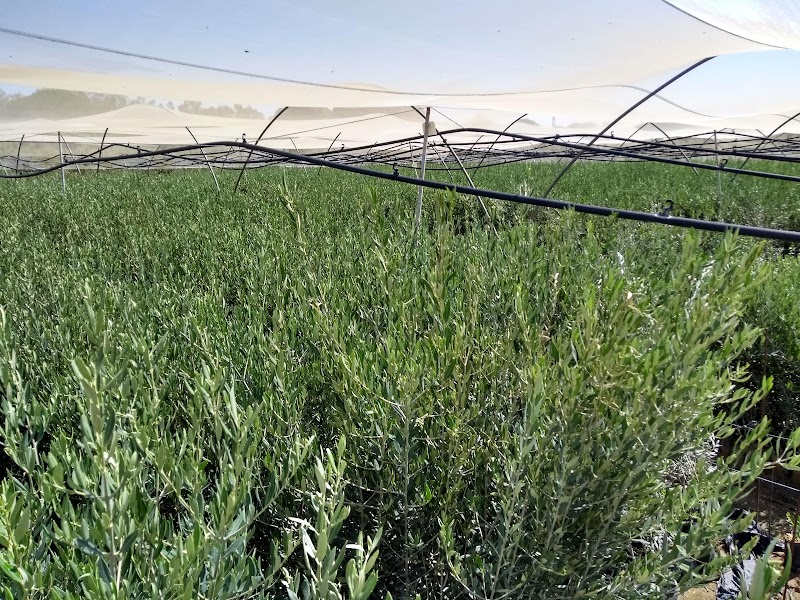 Imagen de Vivero Navarro