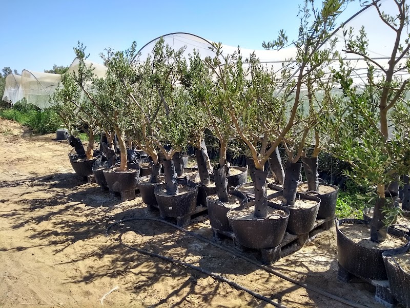 Imagen de Vivero Navarro