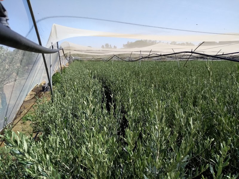 Imagen de Vivero Navarro