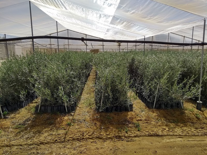 Imagen de Vivero Navarro