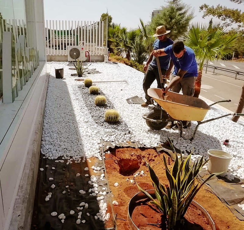 Imagen de Multiservicios Calderón