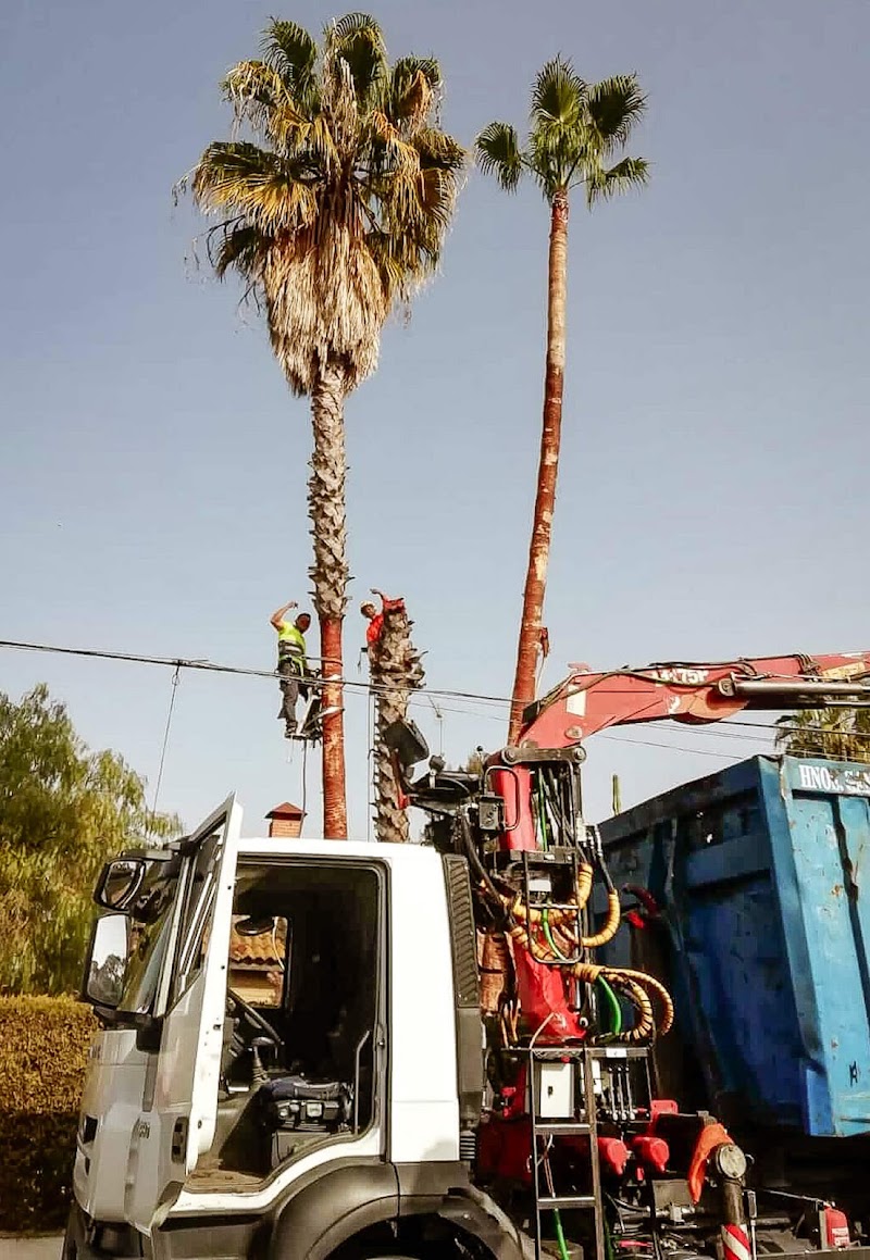 Imagen de Multiservicios Calderón