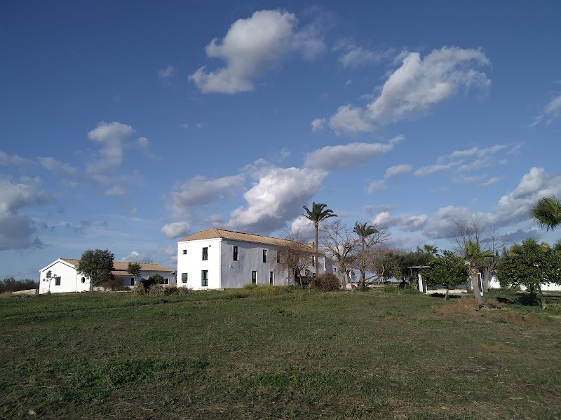 Imagen de Templo Zen Seikyuji