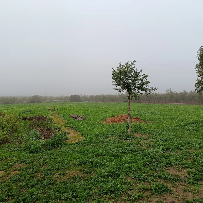 Imagen de Templo Zen Seikyuji