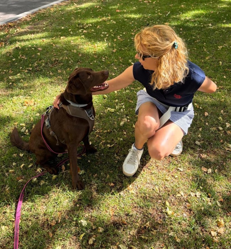 Imagen de Cole de Canes. Educador Canino. Educación Canina. Adiestrador Canino