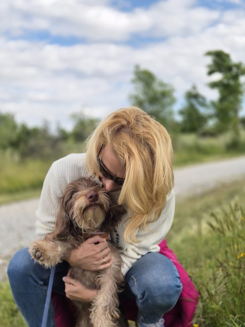 Imagen de Cole de Canes. Educador Canino. Educación Canina. Adiestrador Canino