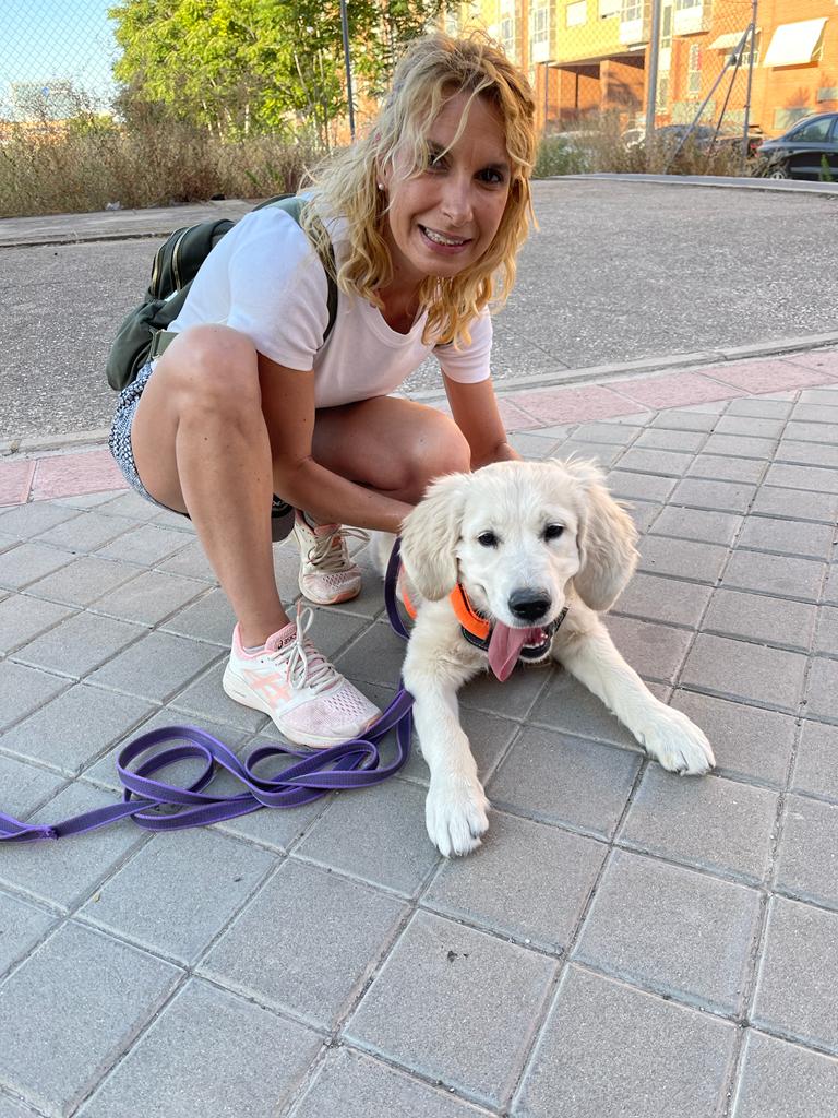 Imagen de Cole de Canes. Educador Canino. Educación Canina. Adiestrador Canino