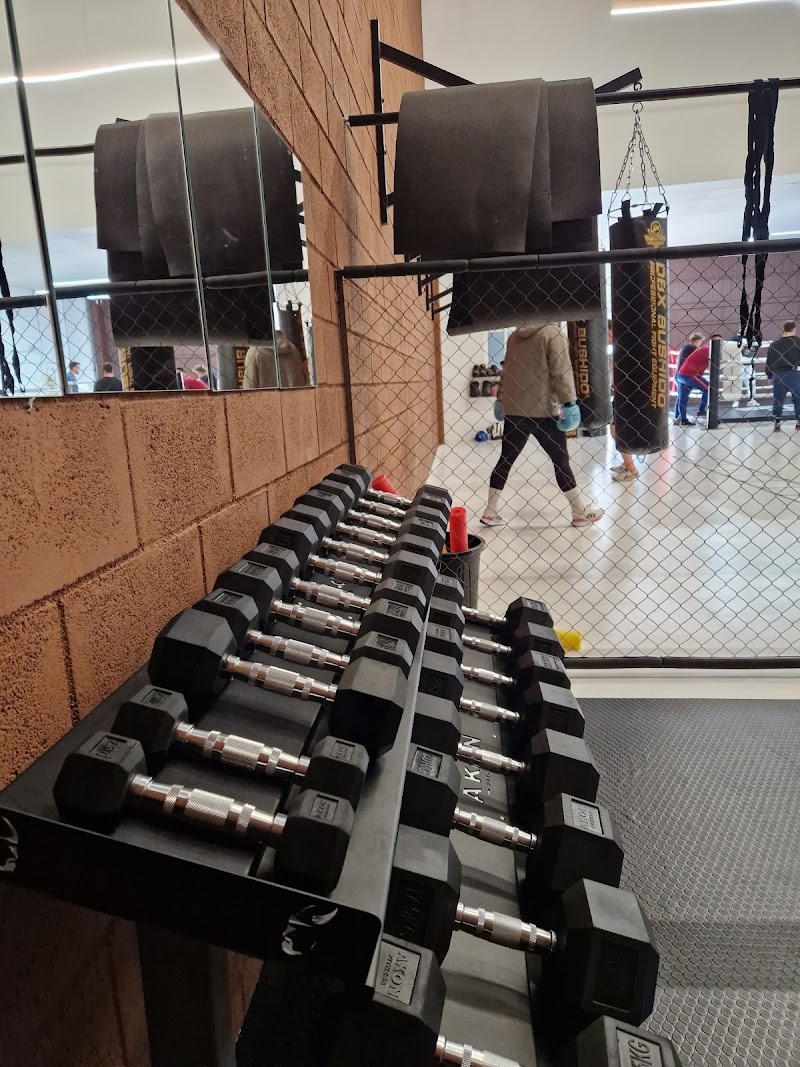 Imagen de Tijuana Boxing Club
