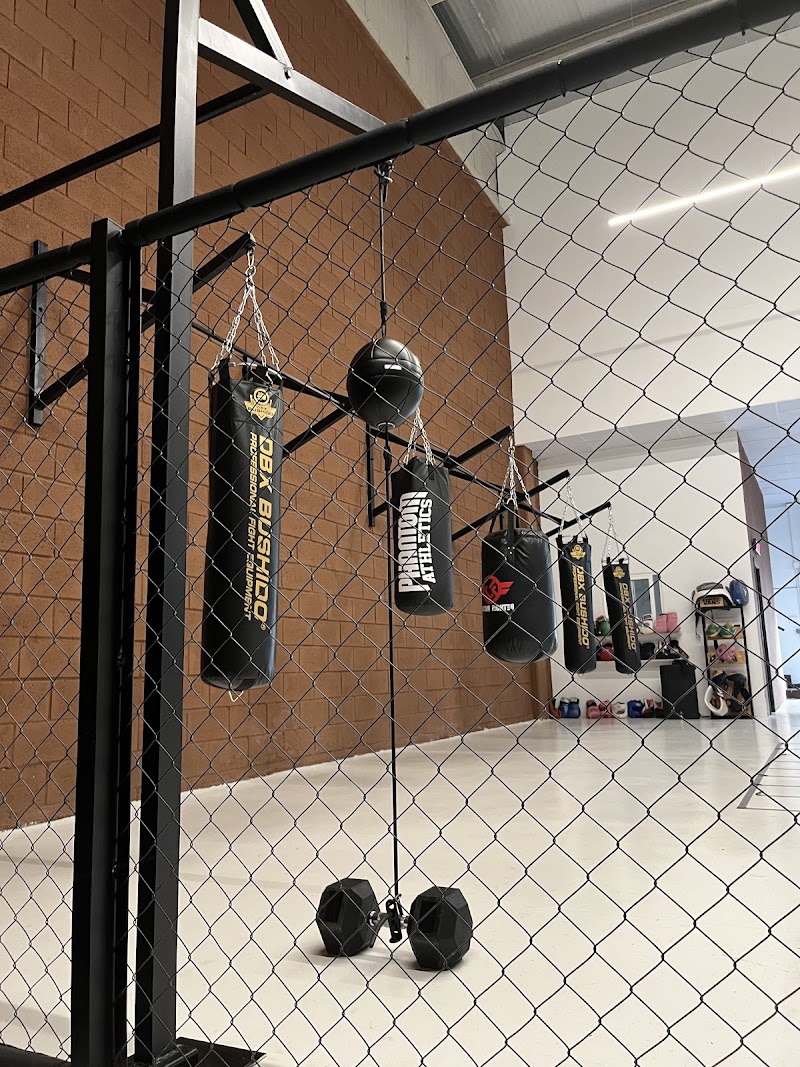 Imagen de Tijuana Boxing Club