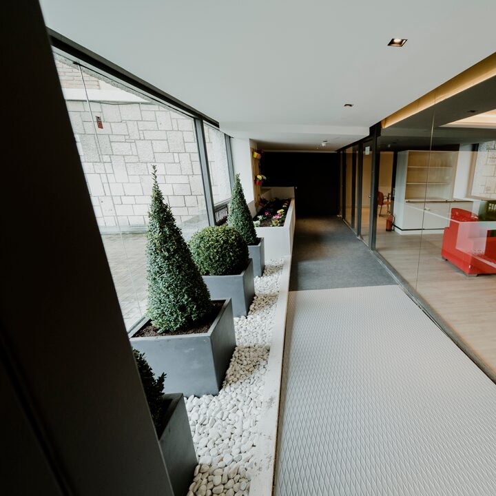 Imagen de Centro de Día Mit para Mayores en Madrid