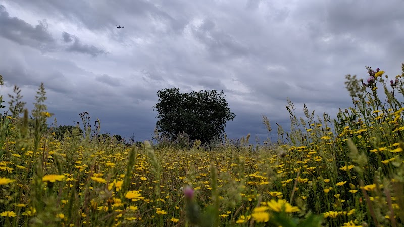 Imagen representativa de la localización