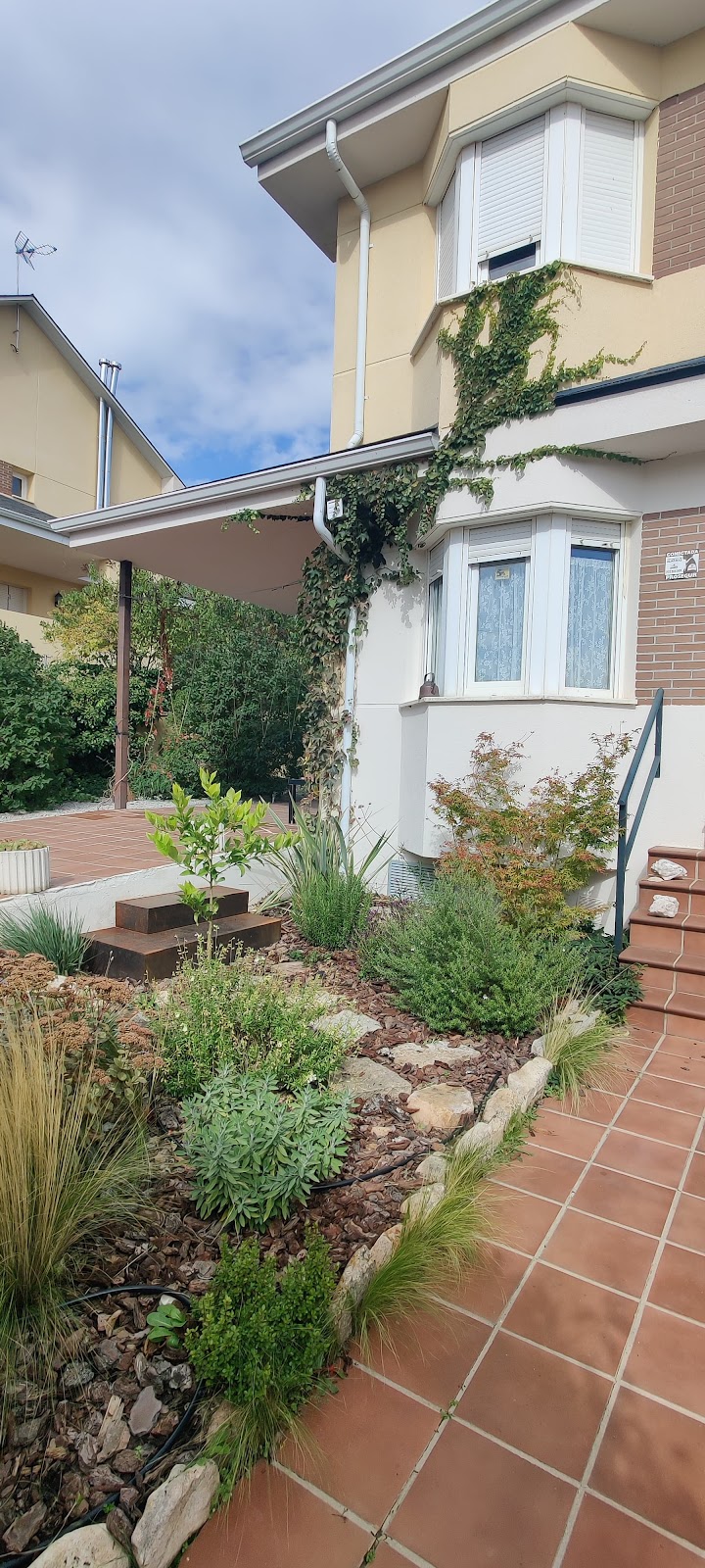 Imagen de Tiestea Paisajismo